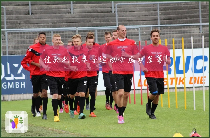 佳驰科技春季运动会成功落幕！